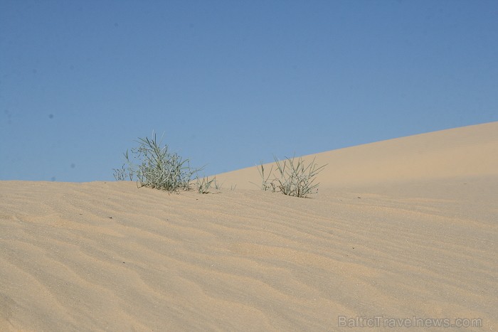 Dodies uz Sahāras tuksnesi (Onk Ejmel) mirāžas meklējumos. Valsts: Tunisija 79216
