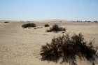 Dodies uz Sahāras tuksnesi (Onk Ejmel) mirāžas meklējumos. Valsts: Tunisija 41