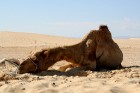Travelnews.lv sameklē filmas Zvaigžņu kari pilsētas dekorācijas Sahāras tuksnesī (Tunisija) 18