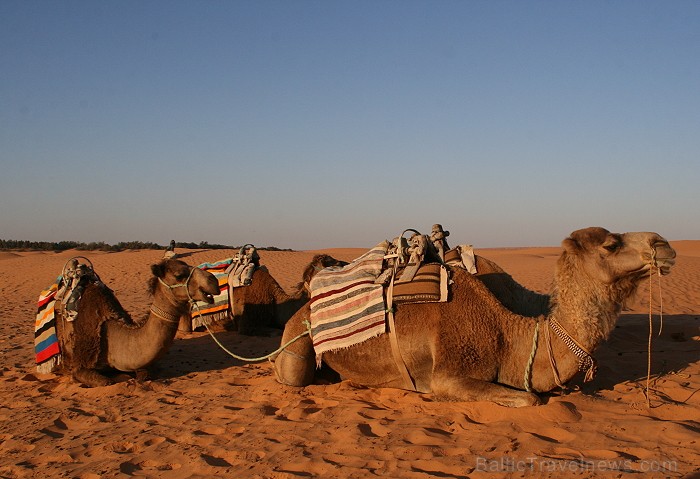 Dodies ar kamieli iepazīt Sahāras saullēktu Tunisijā. Vairāk informācijas par Tunisiju kā tūrisma galamērķi www.tourisme.gov.tn 90041