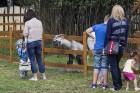 Pik Nik parks Rīgā piedāvā katram parka apmeklētājam atbilstošas atrakcijas - www.piknikparks.lv 4