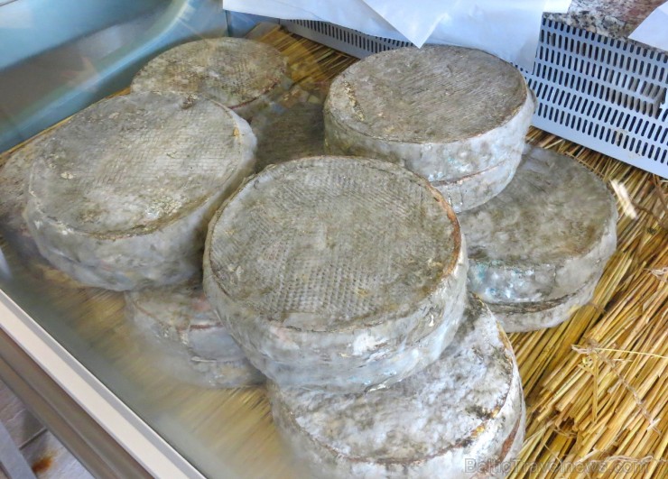 Travelnews.lv iepazīst franču sieru fermu Saint-Nectaire Overņas reģionā 123267
