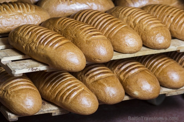 Travelnews.lv iepazīstas ar maizes cepšanas tradīcijām N. Bomja maiznīcā «Lielezers» 130276