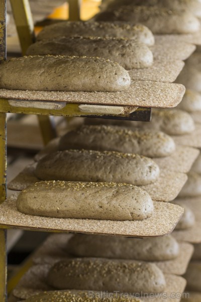 Travelnews.lv iepazīstas ar maizes cepšanas tradīcijām N. Bomja maiznīcā «Lielezers» 130303