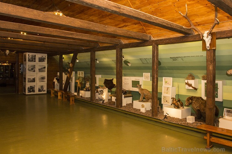 18.–19. gs. būvētajā Ķirbižu muižas kompleksa klētī-labības kaltē kopš 1989. gada darbojas Ziemeļlatvijā vienīgais meža muzejs. 130489