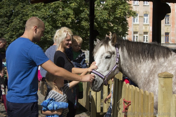 Mazās Kalna ielas skvērā noticis pasākums «Latvijas zirgi senāk un tagad» 131492