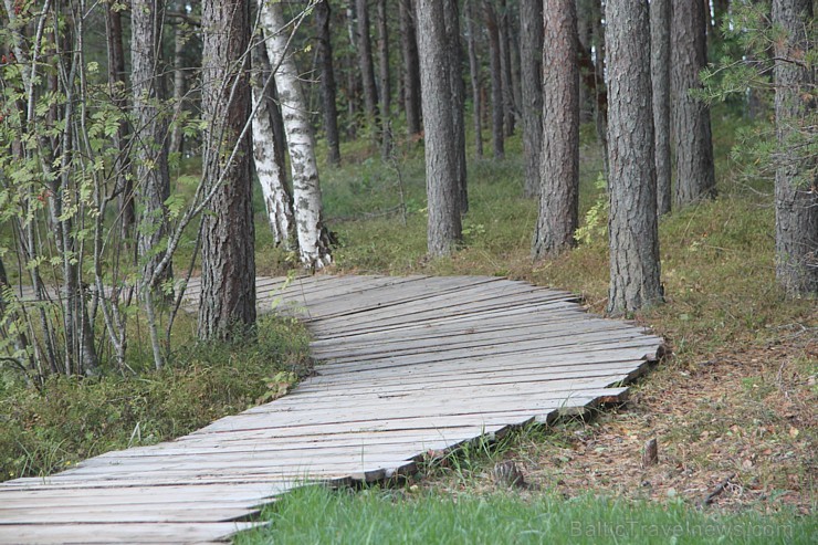 Baltijas lielākais tematiskais parks visai ģimenei «Lotes zeme» atrodas tikai 170 km attālumā no Rīgas - www.lottemaa.ee 131745