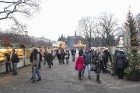 Rīgā Esplanādē apskatāma tradicionālā trušu karaliste 15