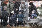 Rīgā Esplanādē apskatāma tradicionālā trušu karaliste 12