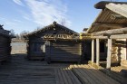 Āraišu ezerpils ir viens no populārākajiem arheoloģiskā tūrisma objektiem Latvijā 11
