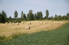 Travelnews.lv redakcija ar Kolonna Hotel Rēzekne (www.HotelKolonna.com) atbalstu apceļo Latgali 10