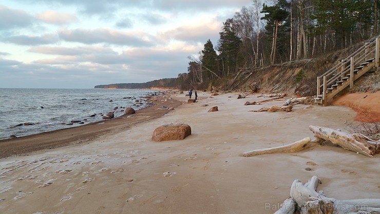 Viens no skaistākajiem Latvijas pārgājiena maršrutiem Vidzemes jūrmalā ir Tūja - Veczemju klintis 167000
