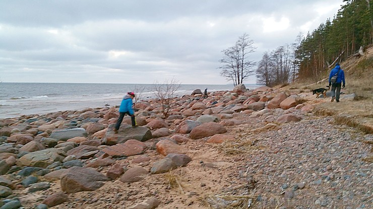 Viens no skaistākajiem Latvijas pārgājiena maršrutiem Vidzemes jūrmalā ir Tūja - Veczemju klintis 167009