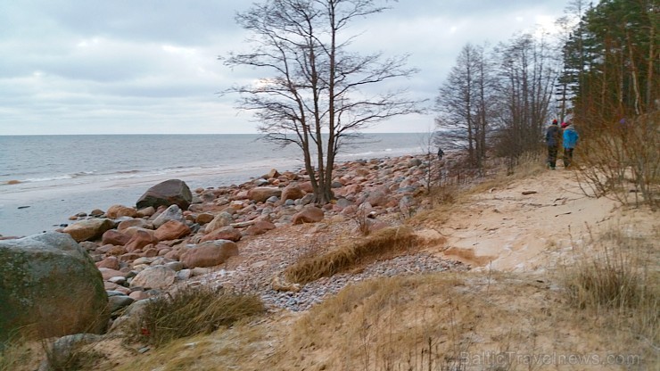 Viens no skaistākajiem Latvijas pārgājiena maršrutiem Vidzemes jūrmalā ir Tūja - Veczemju klintis 167011
