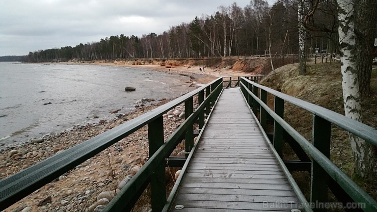 Viens no skaistākajiem Latvijas pārgājiena maršrutiem Vidzemes jūrmalā ir Tūja - Veczemju klintis 167014