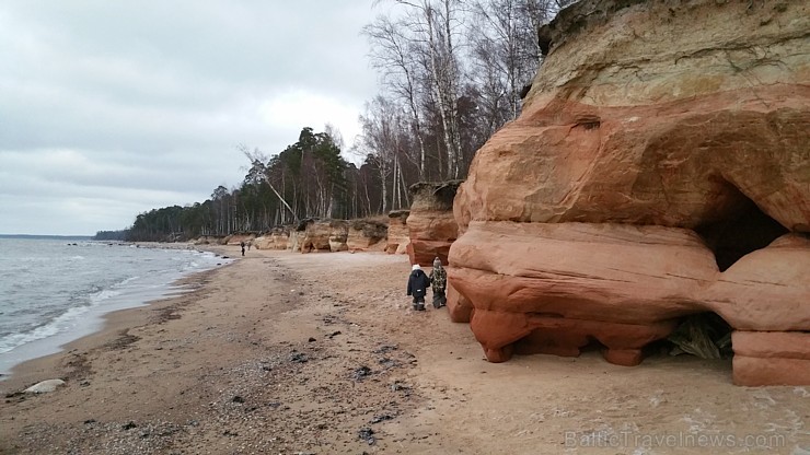 Viens no skaistākajiem Latvijas pārgājiena maršrutiem Vidzemes jūrmalā ir Tūja - Veczemju klintis 167015