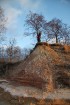 Viens no skaistākajiem Latvijas pārgājiena maršrutiem ir Tūja - Veczemju klintis 15