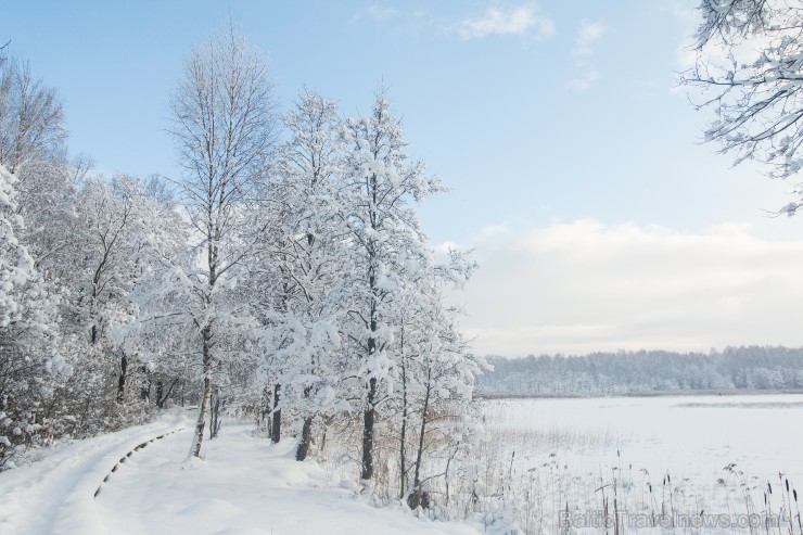 Travelnews.lv izbauda ziemas priekus Limbažu Lielezera dabas takā 167534