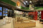 «Dino Zoo Pasaule» atklāšanas svētku laikā aicina aplūkot lielāko akvāriju Latvijā 5
