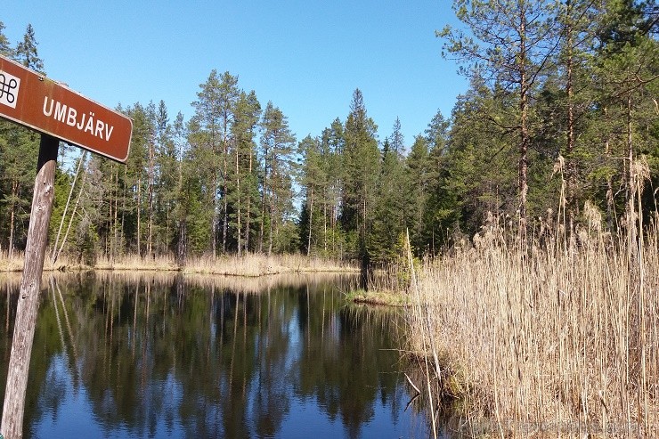 Travelnews.lv apceļo noslēpumainos Entu ezerus un Rīsas purva dabas taku Igaunijā 198523
