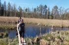Travelnews.lv apceļo noslēpumainos Entu ezerus un Rīsas purva dabas taku Igaunijā 8