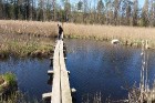 Travelnews.lv apceļo noslēpumainos Entu ezerus un Rīsas purva dabas taku Igaunijā 10