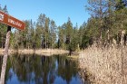 Travelnews.lv apceļo noslēpumainos Entu ezerus un Rīsas purva dabas taku Igaunijā 15