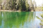 Travelnews.lv apceļo noslēpumainos Entu ezerus un Rīsas purva dabas taku Igaunijā 18