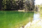 Travelnews.lv apceļo noslēpumainos Entu ezerus un Rīsas purva dabas taku Igaunijā 22