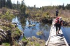 Travelnews.lv apceļo noslēpumainos Entu ezerus un Rīsas purva dabas taku Igaunijā 24