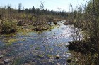 Travelnews.lv apceļo noslēpumainos Entu ezerus un Rīsas purva dabas taku Igaunijā 25