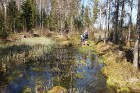 Travelnews.lv apceļo noslēpumainos Entu ezerus un Rīsas purva dabas taku Igaunijā 34
