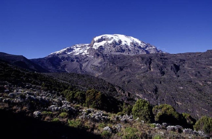 Kilimandžāro nacionālais parks Tanzānijā 202001