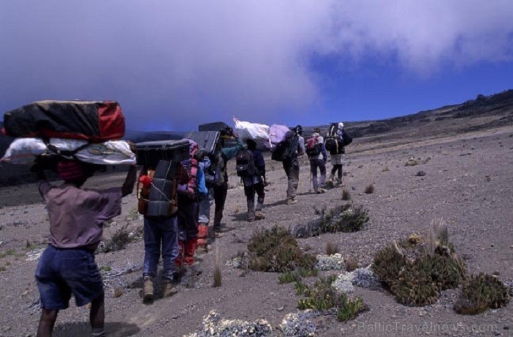 Kilimandžāro nacionālais parks Tanzānijā 202003
