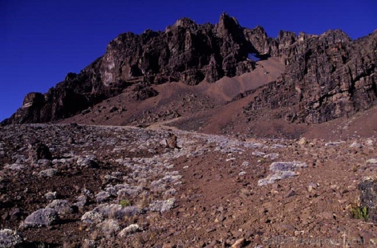 Kilimandžāro nacionālais parks Tanzānijā 202007