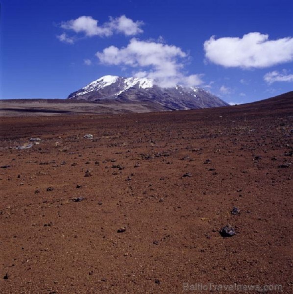 Kilimandžāro nacionālais parks Tanzānijā 202010