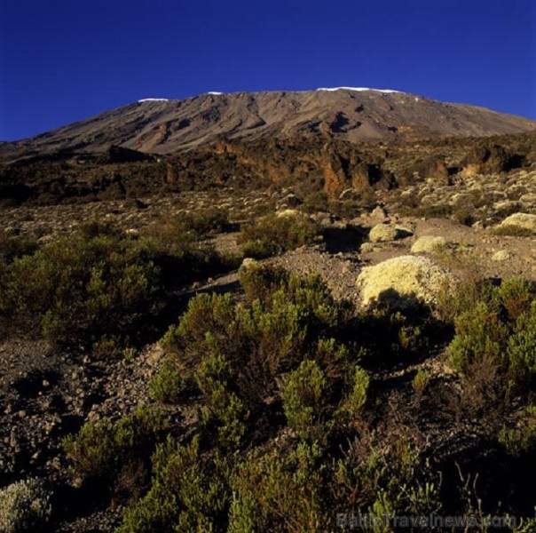 Kilimandžāro nacionālais parks Tanzānijā 202011