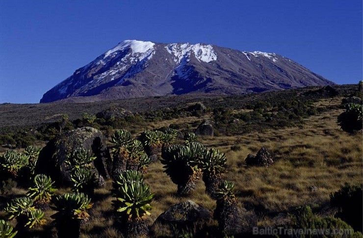 Kilimandžāro nacionālais parks Tanzānijā 202015