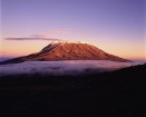 Kilimandžāro nacionālais parks Tanzānijā 14