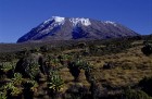 Kilimandžāro nacionālais parks Tanzānijā 15
