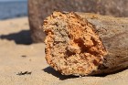 Travelnews.lv izbauda Lauču akmens apkārtnes burvestību un Vidzemes jūrmalu 5