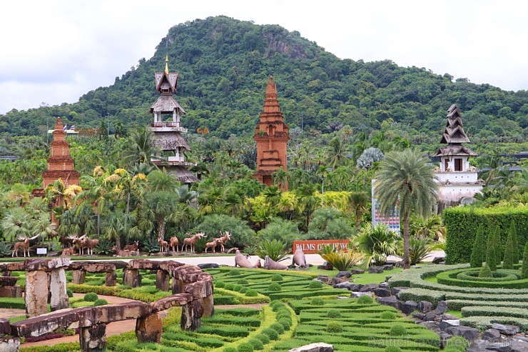 Travelnews.lv kopā ar «365 brīvdienas» un «Turkish Airlines» iepazīst tropu botānisko dārzu «Nong Nooch Tropical Garden» 208909