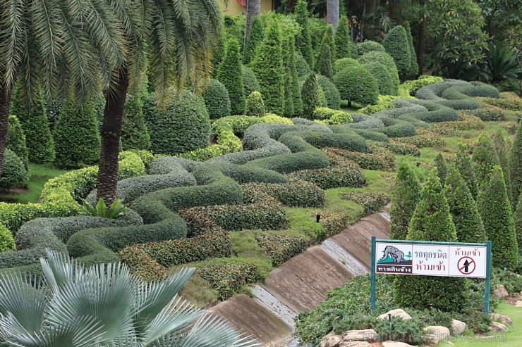 Travelnews.lv kopā ar «365 brīvdienas» un «Turkish Airlines» iepazīst tropu botānisko dārzu «Nong Nooch Tropical Garden» 208960