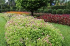Travelnews.lv kopā ar «365 brīvdienas» un «Turkish Airlines» iepazīst tropu botānisko dārzu «Nong Nooch Tropical Garden» 6