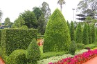 Travelnews.lv kopā ar «365 brīvdienas» un «Turkish Airlines» iepazīst tropu botānisko dārzu «Nong Nooch Tropical Garden» 8