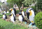 Travelnews.lv kopā ar «365 brīvdienas» un «Turkish Airlines» iepazīst tropu botānisko dārzu «Nong Nooch Tropical Garden» 26