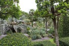 Travelnews.lv kopā ar «365 brīvdienas» un «Turkish Airlines» iepazīst tropu botānisko dārzu «Nong Nooch Tropical Garden» 39