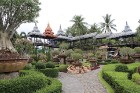 Travelnews.lv kopā ar «365 brīvdienas» un «Turkish Airlines» iepazīst tropu botānisko dārzu «Nong Nooch Tropical Garden» 61
