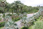 Travelnews.lv kopā ar «365 brīvdienas» un «Turkish Airlines» iepazīst tropu botānisko dārzu «Nong Nooch Tropical Garden» 70