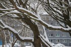 Travelnews.lv novēro kā ziema beidzot ierodas Rīgā 10